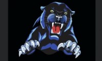 McNeill Panther